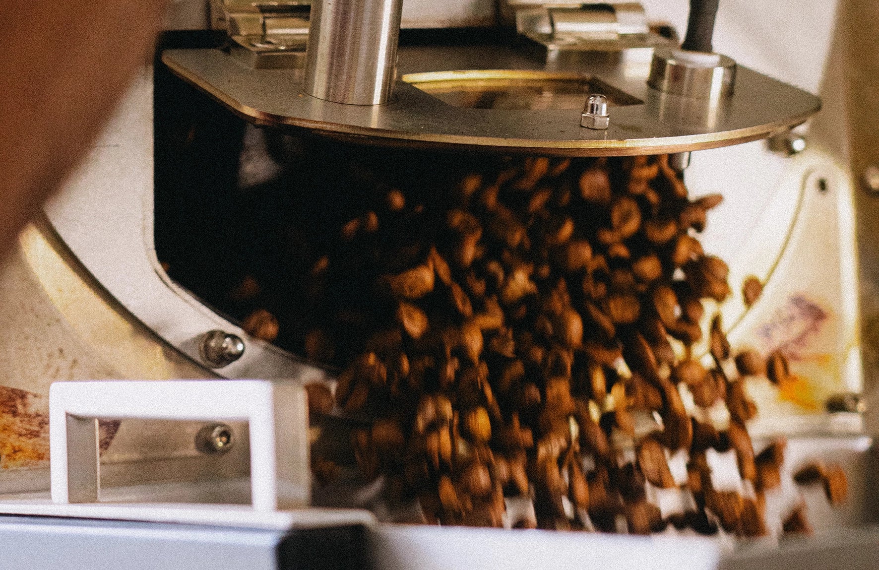 A close up of coffee beans dropping into a cooling tray from a coffee roaster