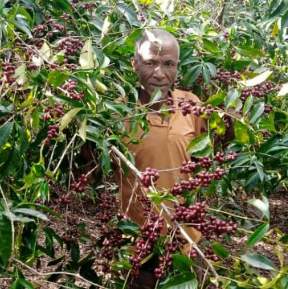 BANKO GOTITI | ETHIOPIA