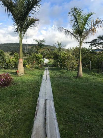 BUENOS AIRES BOURBON SIDRA | COLOMBIA