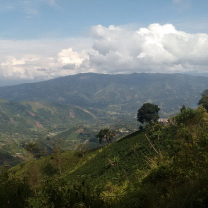 LOMA CASAGRANDE | COLOMBIA