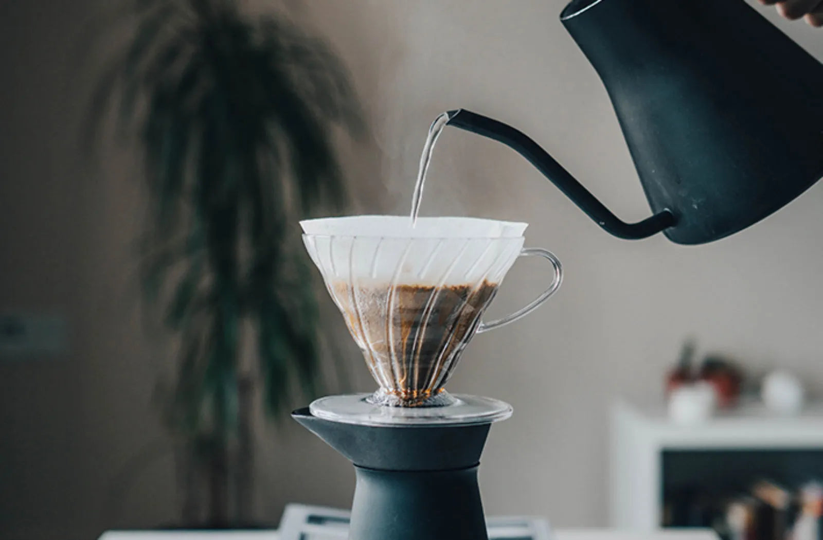 V60 Dripper Brewing Method